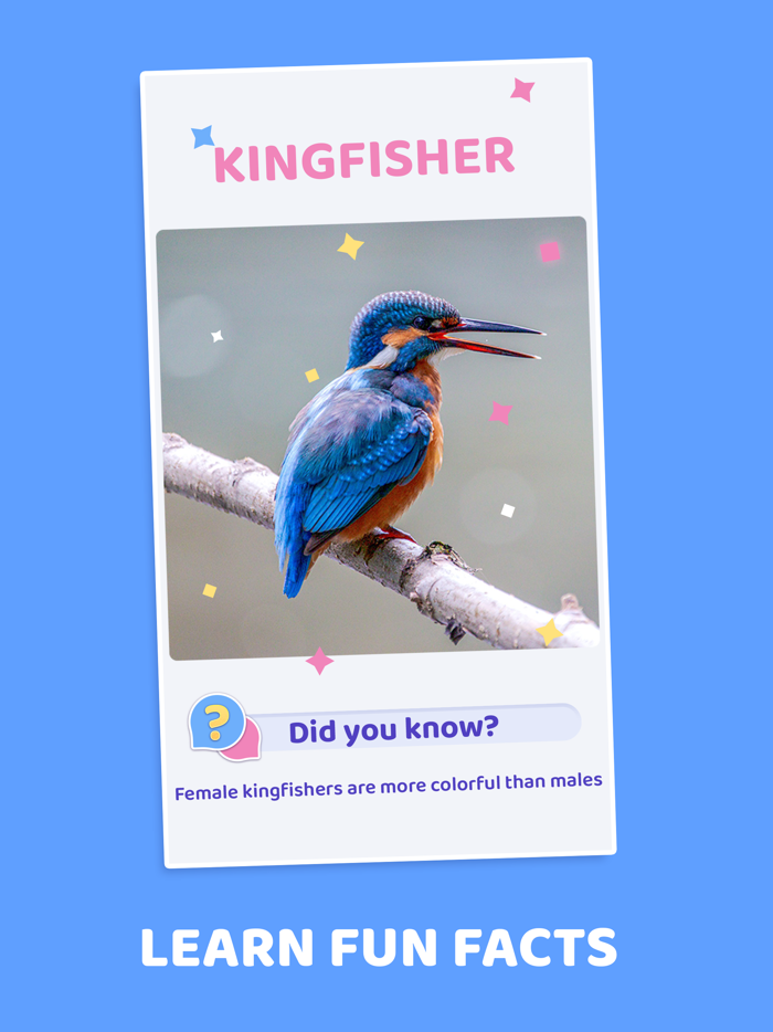 Word Pics - Trivia Puzzles