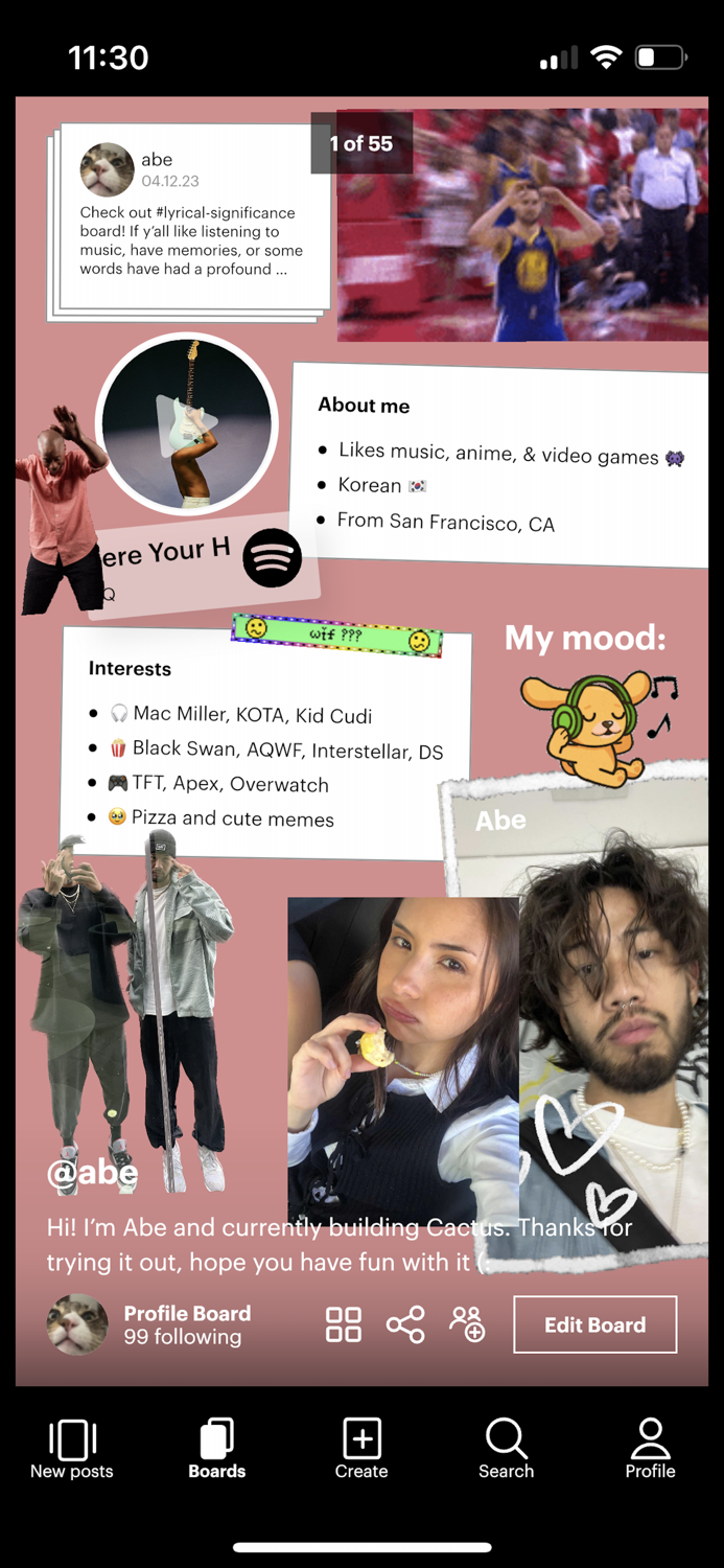 Cactus - Collage maker