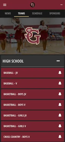 Game screenshot St. George's Athletics hack