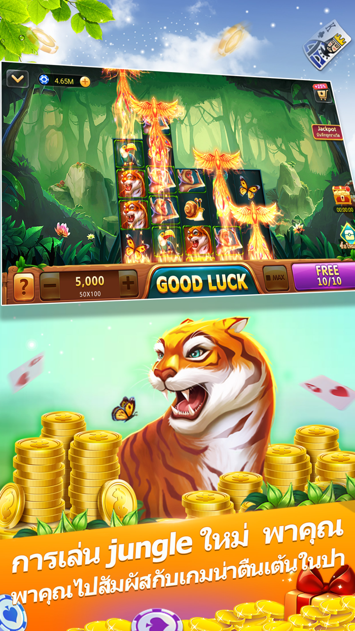 ไพ่แคง-รวมดัมมี่ ป๊อกเด้ง ไฮโล