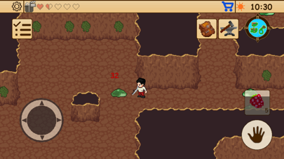 Screenshot #3 pour Survival RPG 1: Exploration 2D