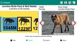 Game screenshot Yellowstone Wolves 2021 hack