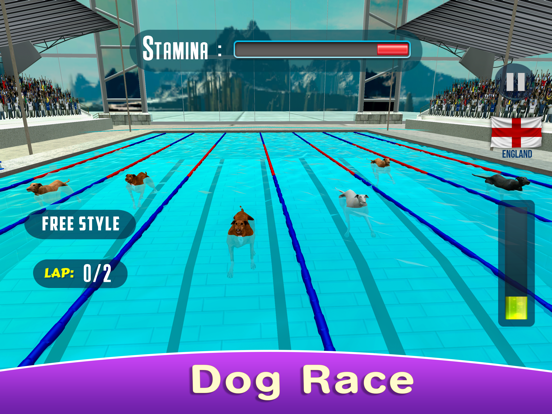 Dog Swimming Raceのおすすめ画像6