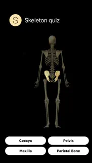 human skeleton quiz problems & solutions and troubleshooting guide - 2