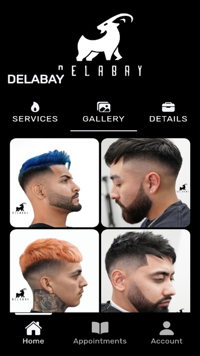 Screenshot #2 pour DELABAY