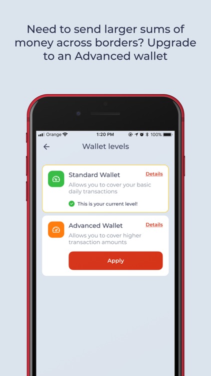 UBA Remit Wallet screenshot-4