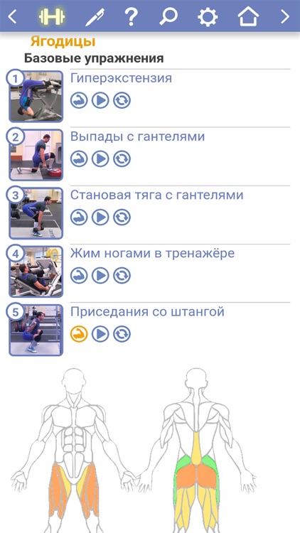 Твой Тренер screenshot-5