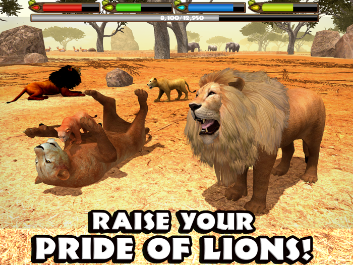 Ultimate Lion Simulator