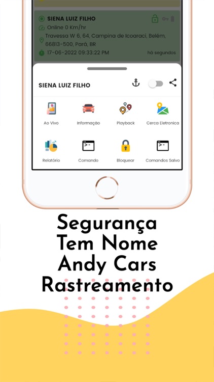 Andy Cars Rastreamento screenshot-3