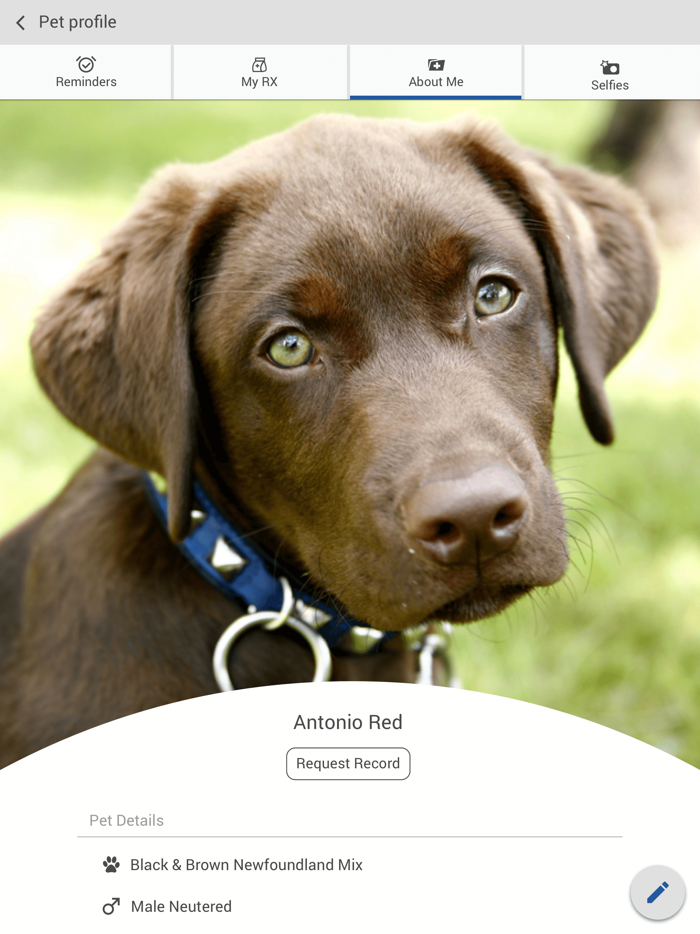 Companion Animal Hospital FL