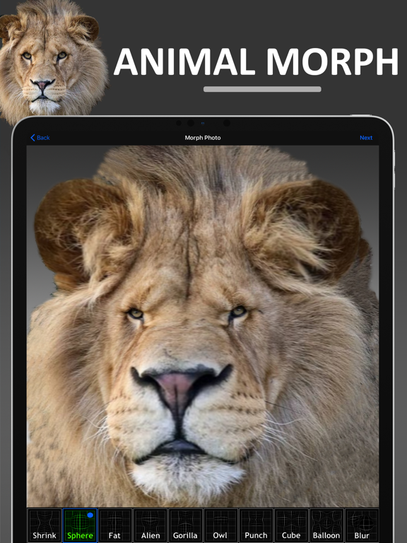 Funny Face Camera Booth iPad screenshot 5 - Entertainment app