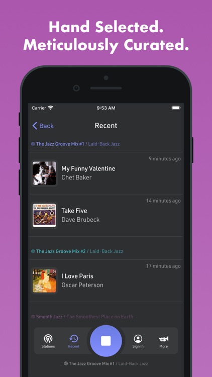 The Jazz Groove screenshot-4