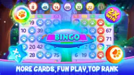 Game screenshot Bingo Wild - Fun Animal Bingo mod apk