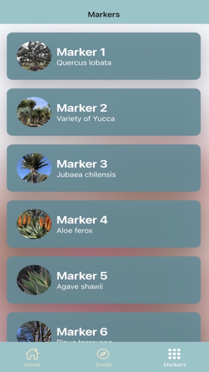 Ruth Bancroft Garden Tour