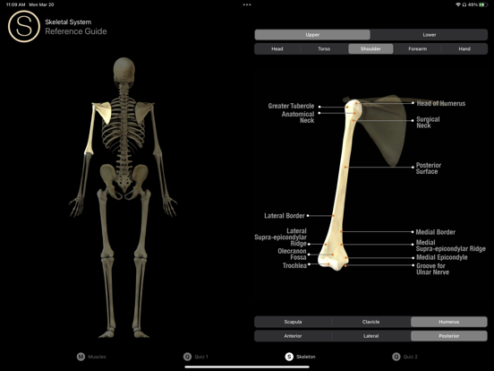 Screenshot #5 pour Human Anatomy Study Guide