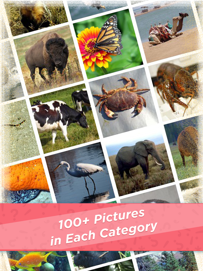 101 Pics.io