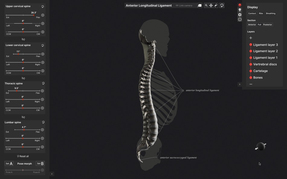 #6. Biomechanics of the Spine (macOS) Podle: Anatomy Standard