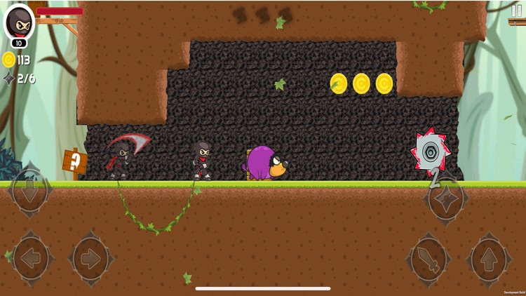 Super Ninja Princess Rescue