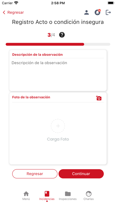 ACE Seguridad Screenshot