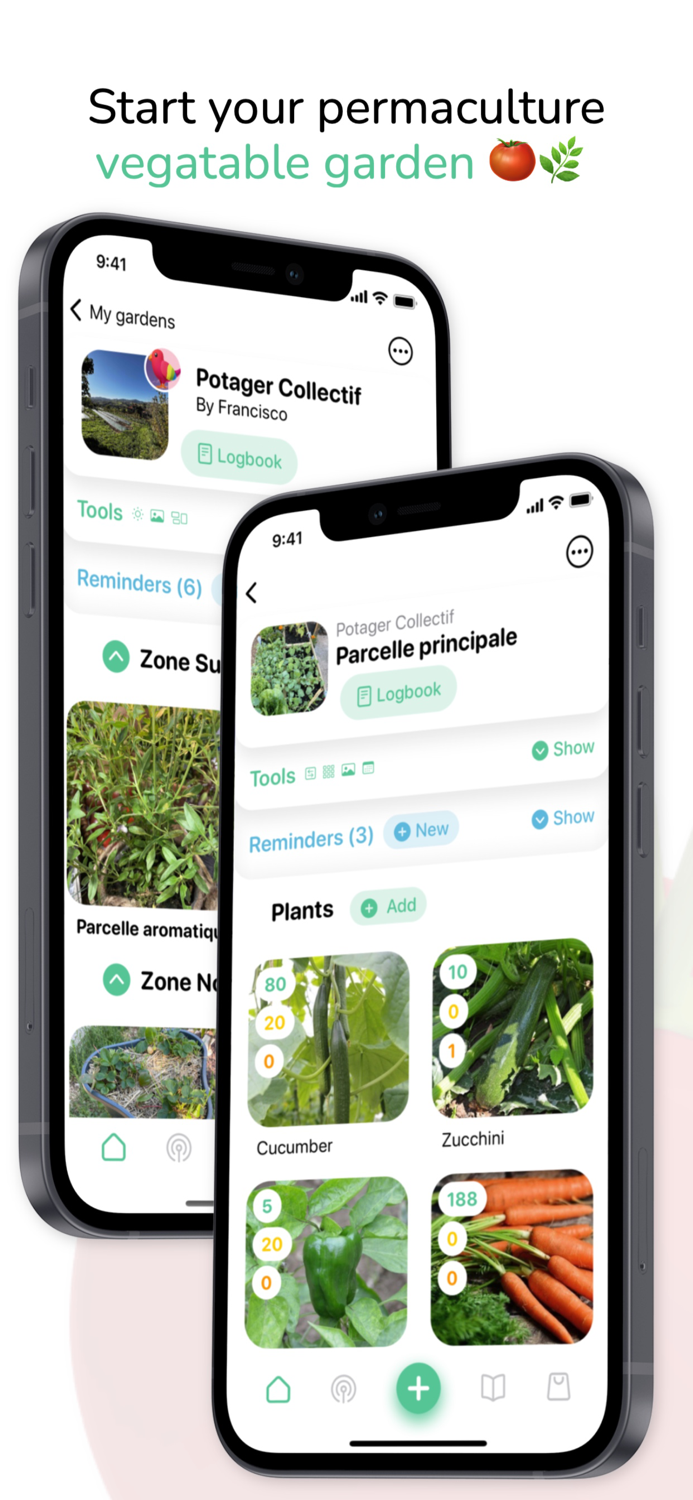 Tomate and Basilic- Permaculture