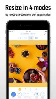 cropsize: batch image resizer iphone screenshot 2