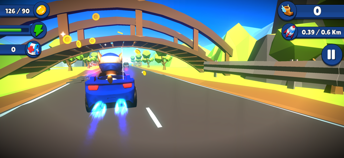 Paw Rescue Mission Race