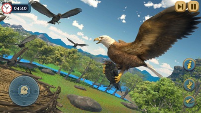 Eagle Bird Wild Life Sim Games Screenshot
