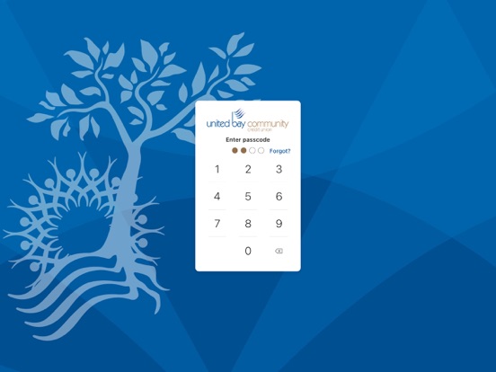 UbayGO iPad screenshot 2 - Finance app