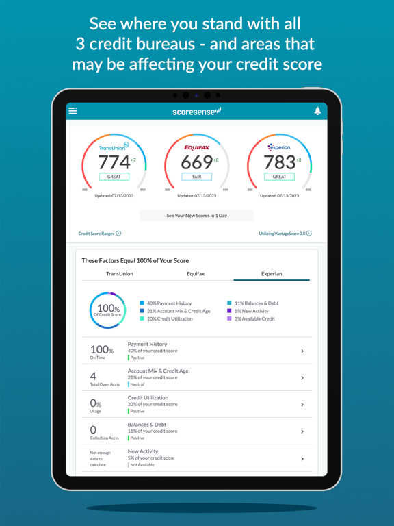 ScoreSense® iPad screenshot 1 - Finance app