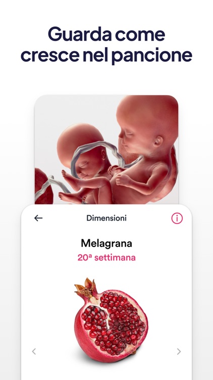 iMamma • Bimbo e Gravidanza screenshot-4