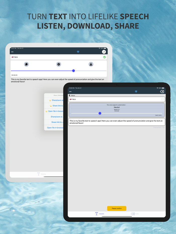 BigVoicy - Speech Synthesizer