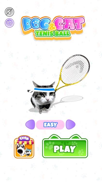 Dog & Cat Tennis
