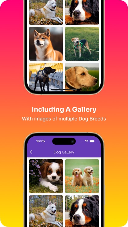 Dog Care Pro: Guide Tips & Fun screenshot-6