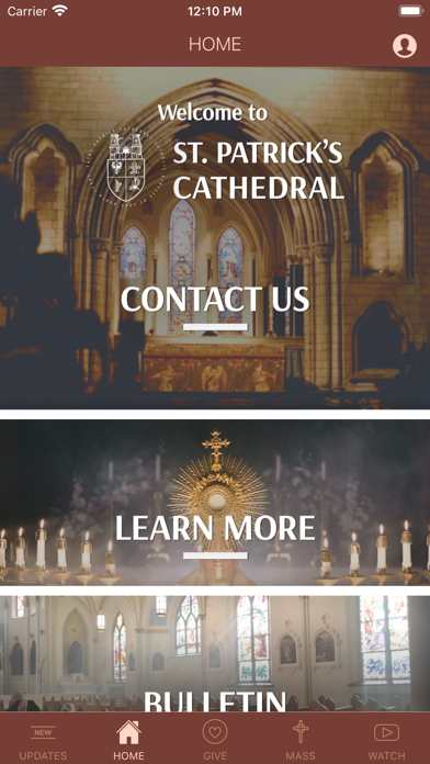 saintpatrickcathedralfortworth Screenshot