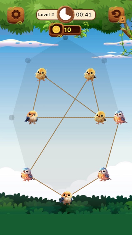 Knotty Birds Puzzle Game