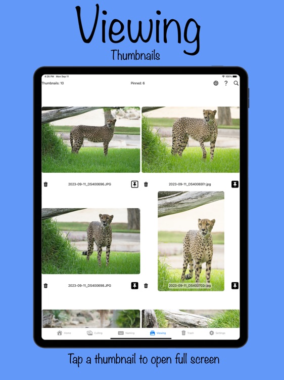 Photo Workflow screenshot-6