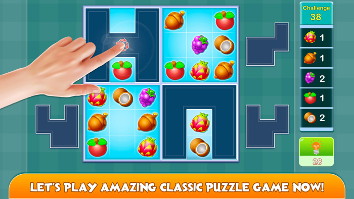 The Puzzle  Blossom Adventure