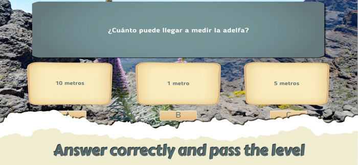 The flight of the rook