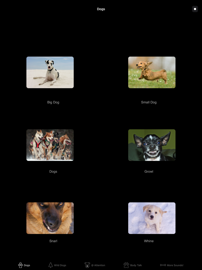 Dog Sounds and Body Talk