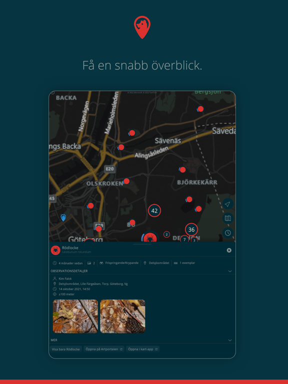Artkartan iPad screenshot 2
