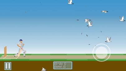 CricketMayhem: 2D Cricket Game Screenshot