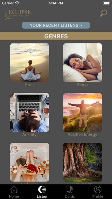 Eclipse Meditations Screenshot