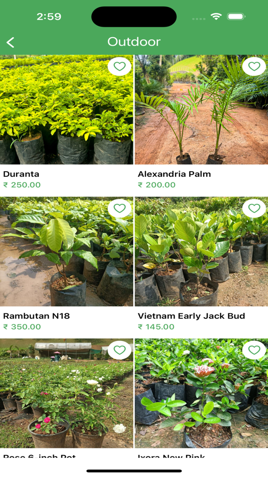 #3. 60min (iOS) 由: Shopify