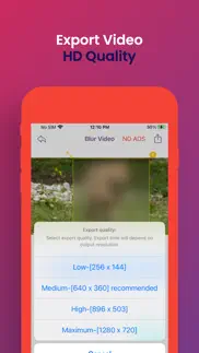 blur video track & blur faces iphone screenshot 3