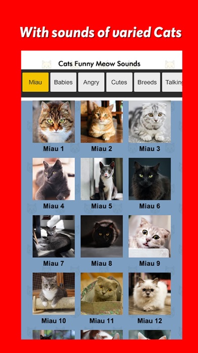 Cats Funny Meow Sounds Screenshot