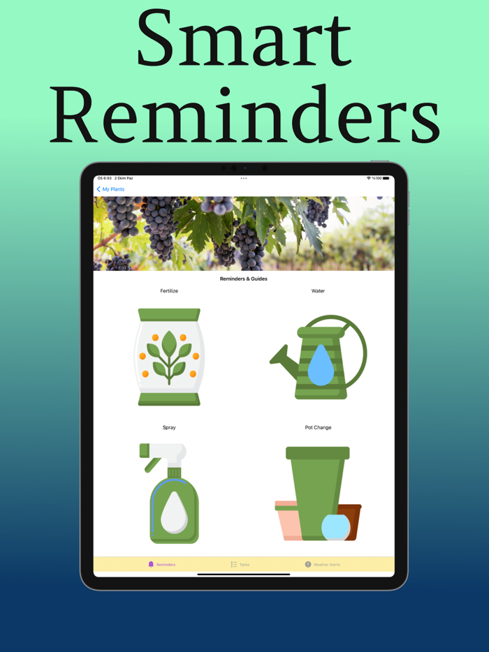 Plant Care Guide and Tips