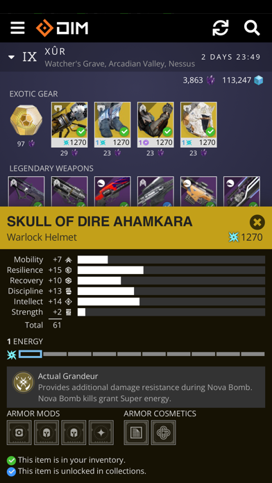 Destiny Item Manager Screenshot