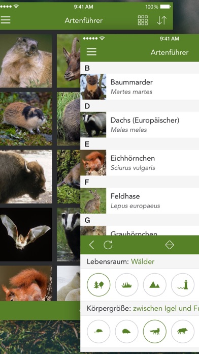 Screenshot #2 pour Wilde Tiere und Spuren PRO