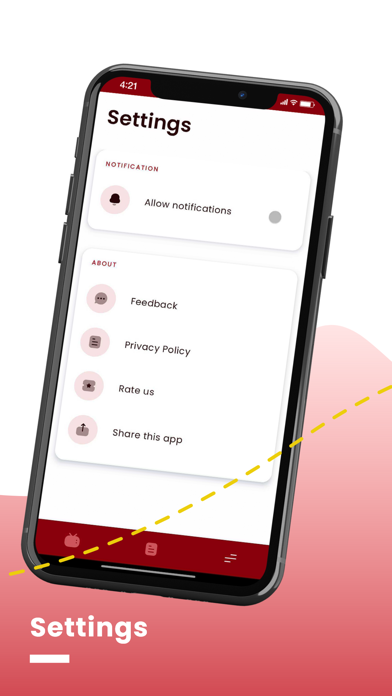 Steci Media Screenshot