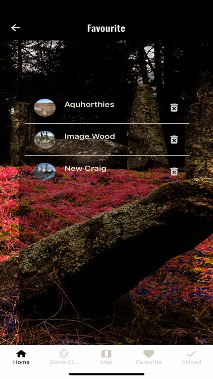 Stones of Scotland screenshot-8